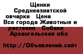 Щенки Среднеазиатской овчарки › Цена ­ 30 000 - Все города Животные и растения » Собаки   . Архангельская обл.